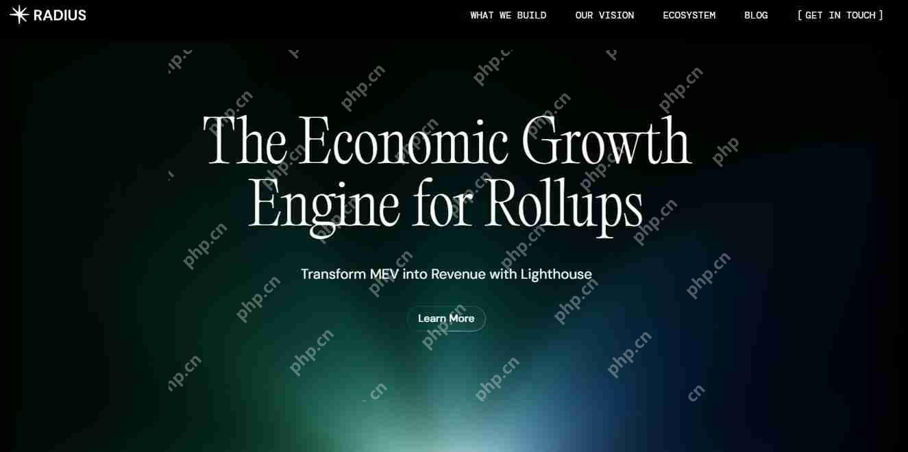 Radius是什么?Radius如何运行、背景、特点、路线图解读